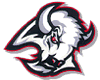 (7) Buffalo Sabres